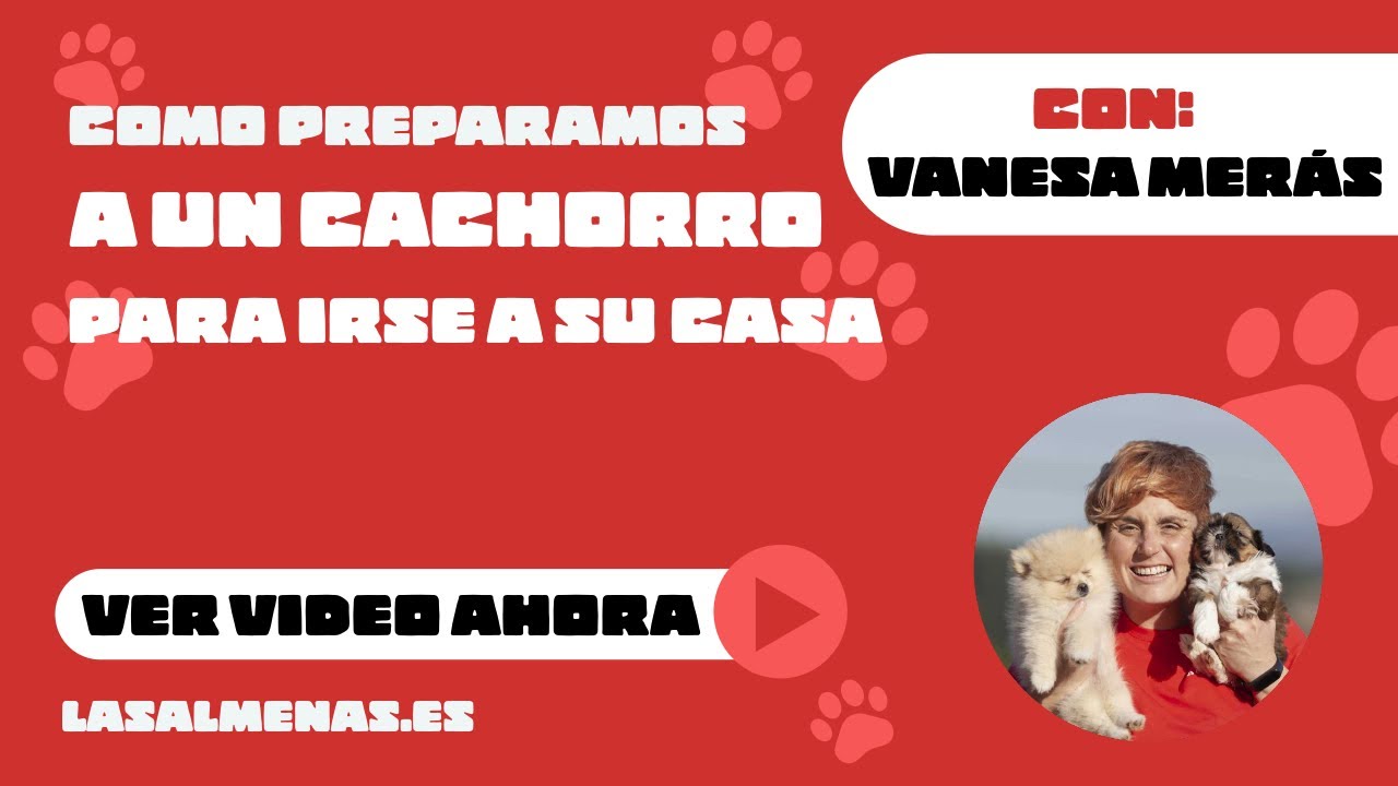 Así preparamos un cachorro para irse a casa 🚿🛁🐩 | Centro Canino Las Almenas
