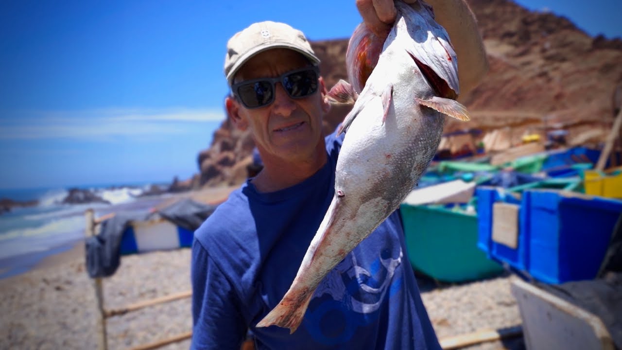 Así se compra el Pescado Fresco en las CALETAS del norte Peruano!!