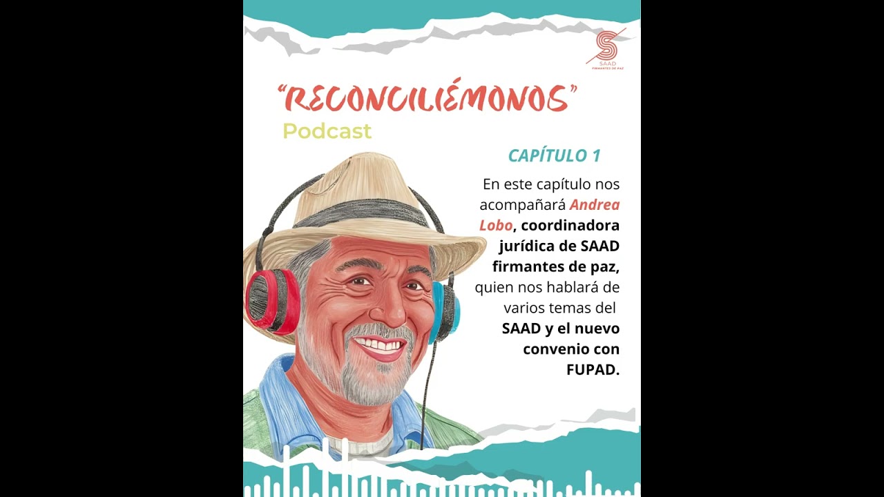 El SAAD: Convenio 550