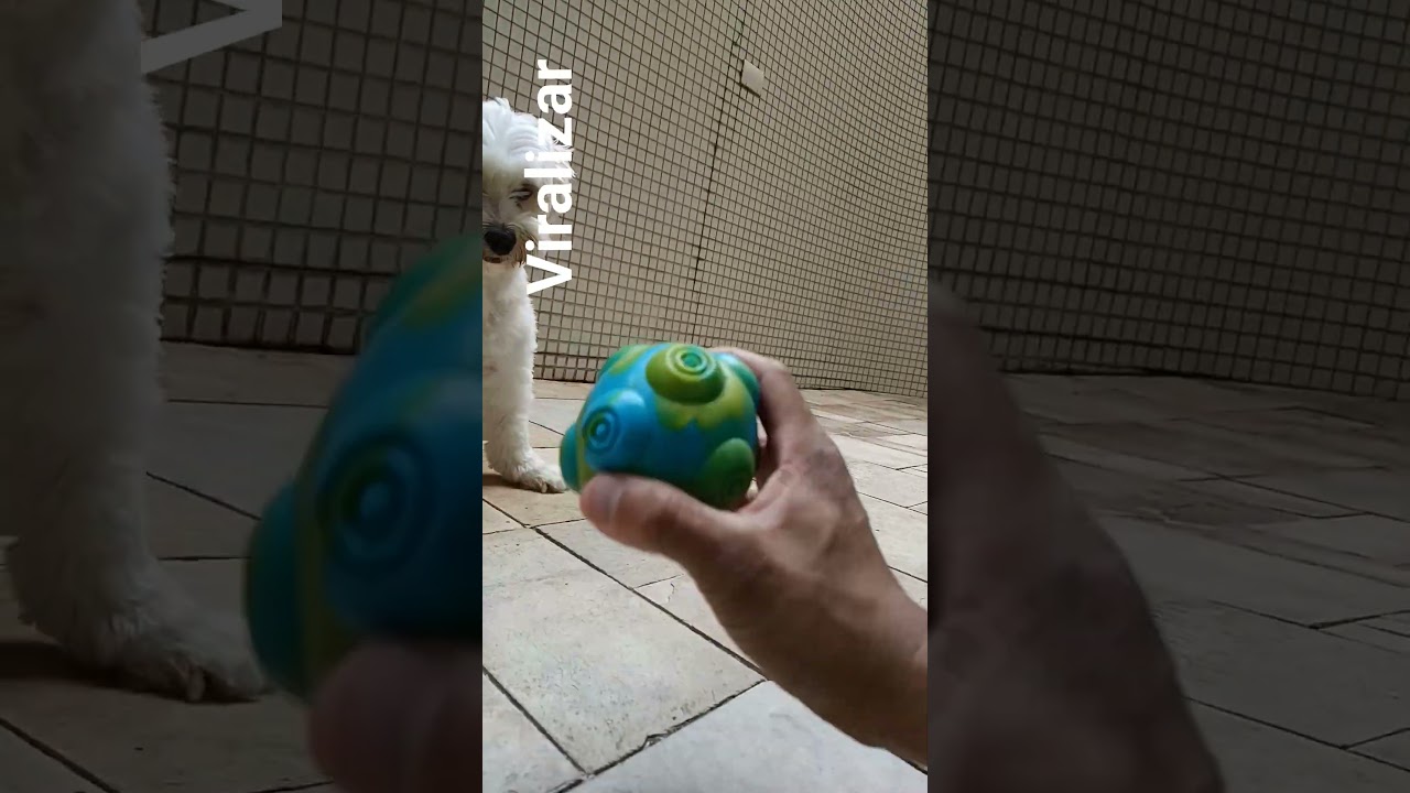 Boa tarde meus amores 