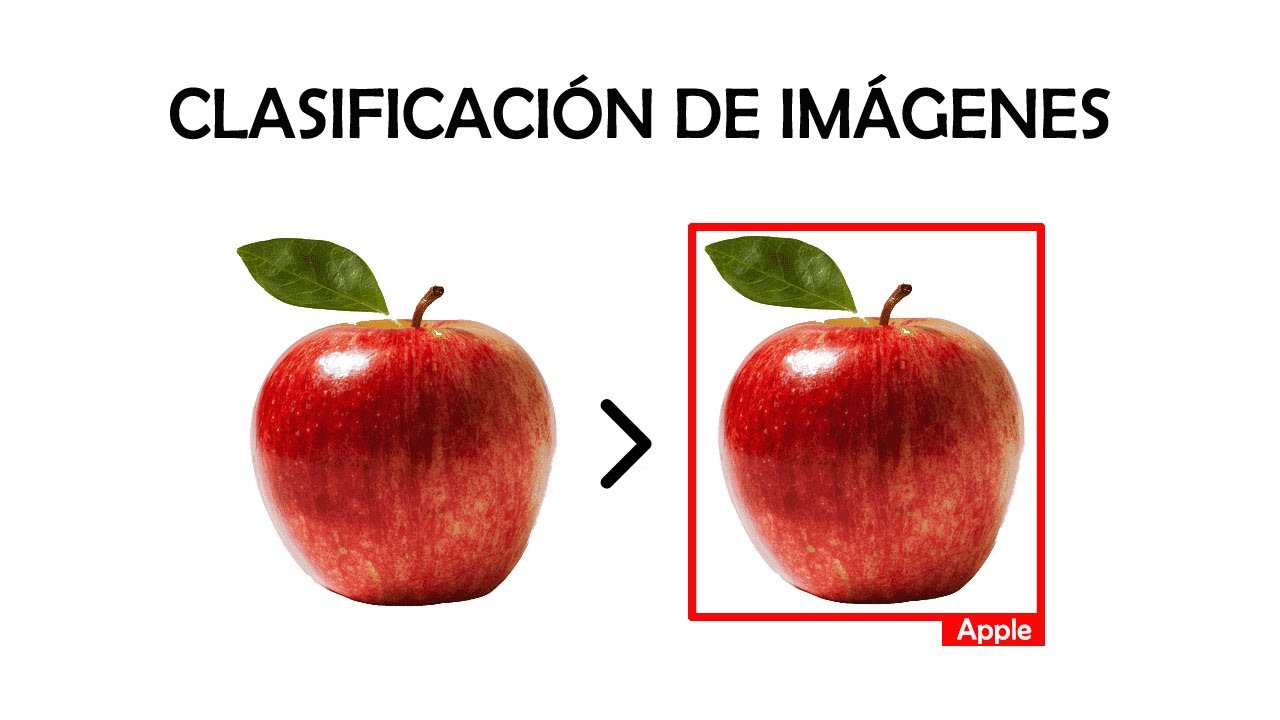 Clasificador de Imágenes con Tensorflow y Teachable Machine - Detección de objetos desde cero