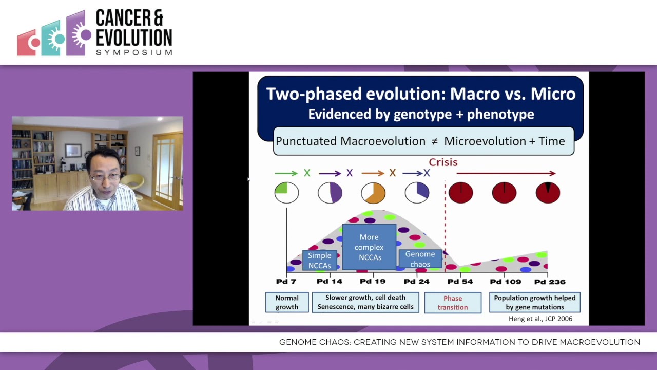 Henry H. Heng - Genome Chaos: creating new system information to drive macroevolution