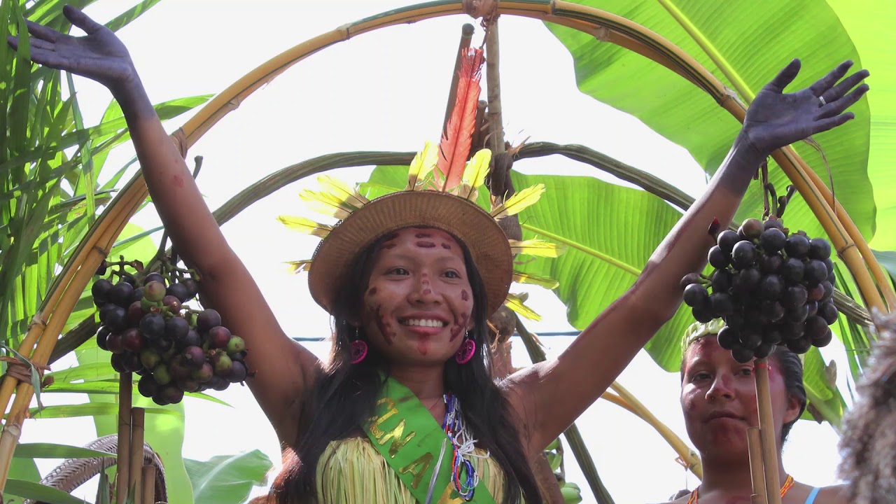 video actualizaciòn-Taraira Vaupes 2019