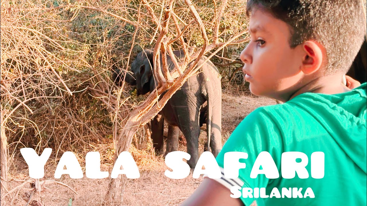 Yala safari | Sri Lanka 🇱🇰 | Beautiful island 