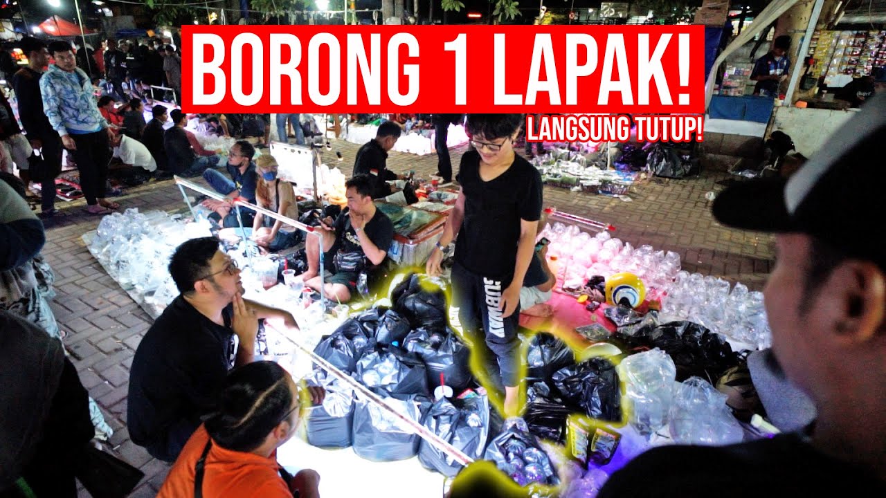 KHILAF!!! BORONG 1 LAPAK PASAR IKAN HIAS JATINEGARA!!!