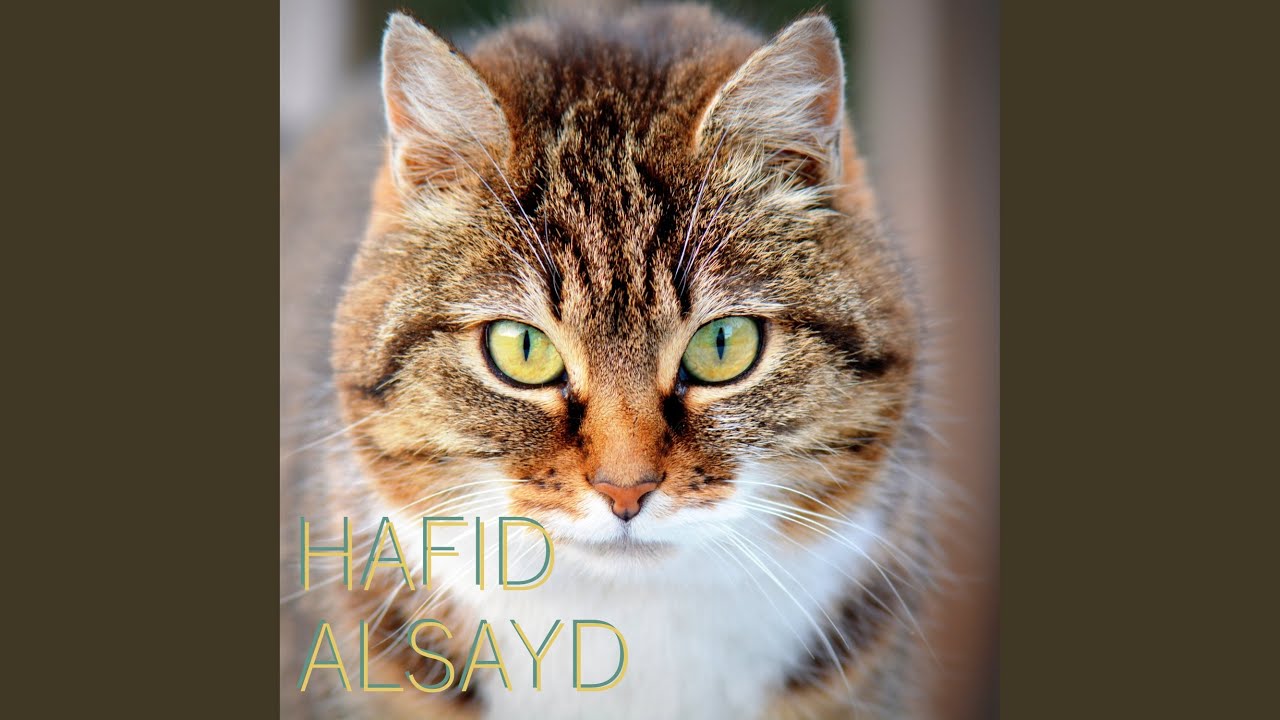 Alsayd