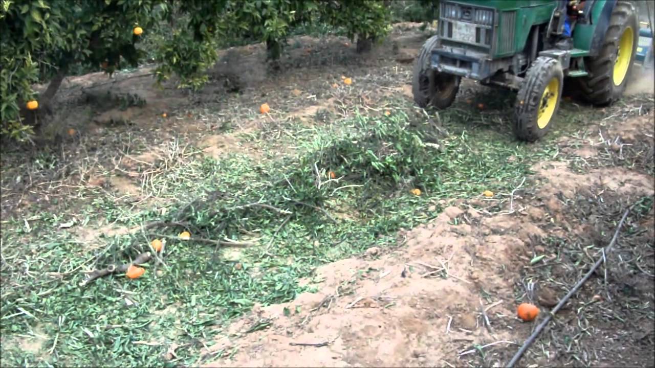 TRITURADORA PULPI MAQUINARIA AGRÍCOLA BONANZA