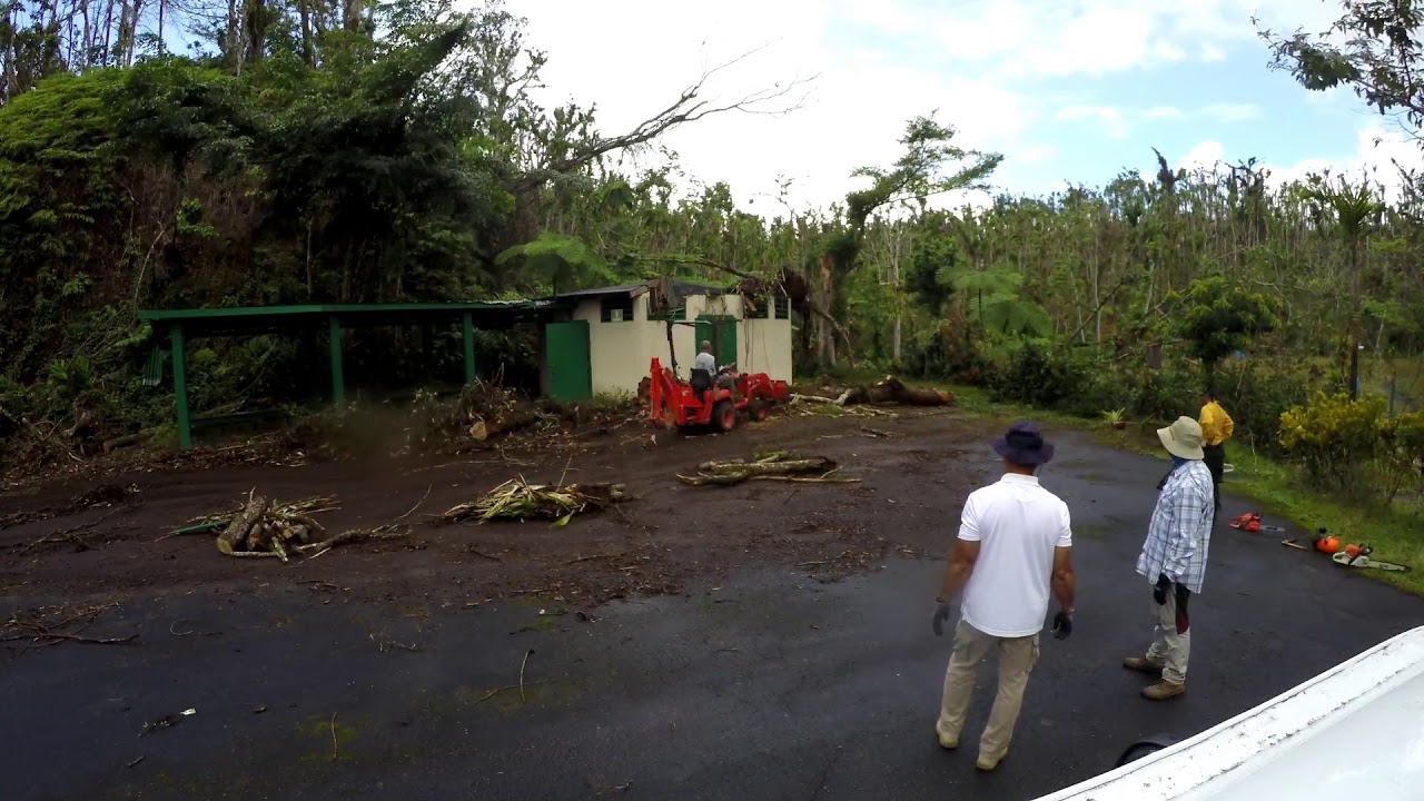Trabajo voluntario en el Bosque Estatal de Carite, Puerto Rico