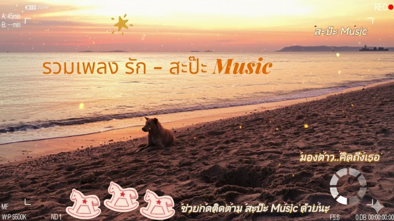รวมเพลง​ รัก​ - สะป๊ะ​ Music​#เพลง #เพลงเพราะ #เพลงฮิต #music #เพลงรัก #รวมเพลง#รวมเพลงฮิต #สะป๊ะ 