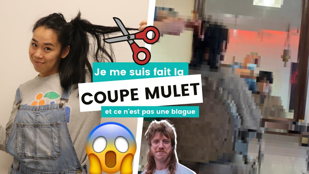 Je craque et je me fais la COUPE MULET 😱😂