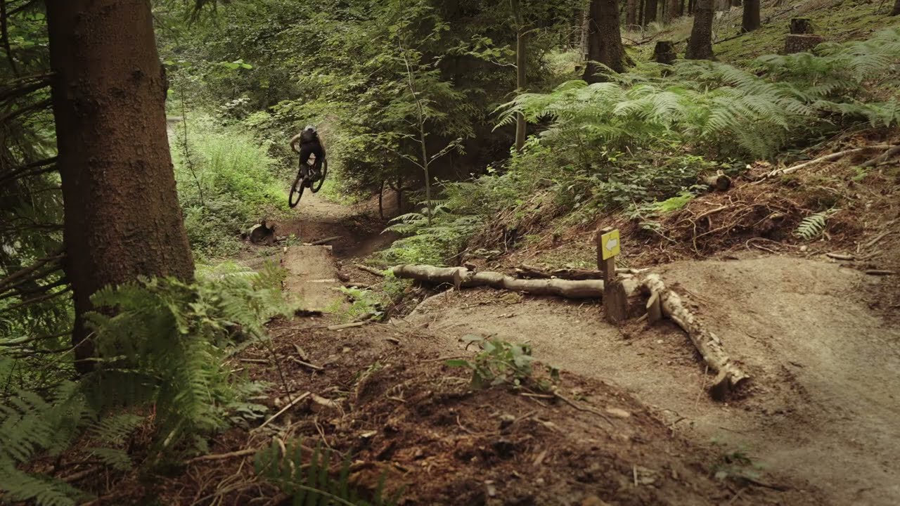 Teertango by @Teutofreundeev |  MTB Trail im Dörenberg | @FOCUSbikes Jam² 8.7 Modified