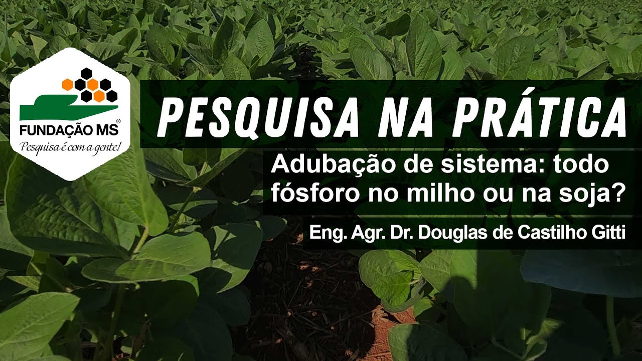 Adubação de sistema: Todo fósforo no milho ou na soja?
