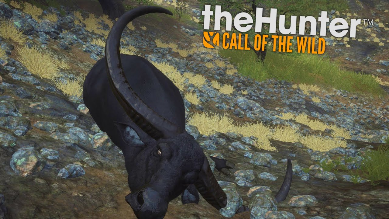 OGROMNE ROGI LEGENDARNEGO WOŁA (theHunter: Call of the Wild #23)