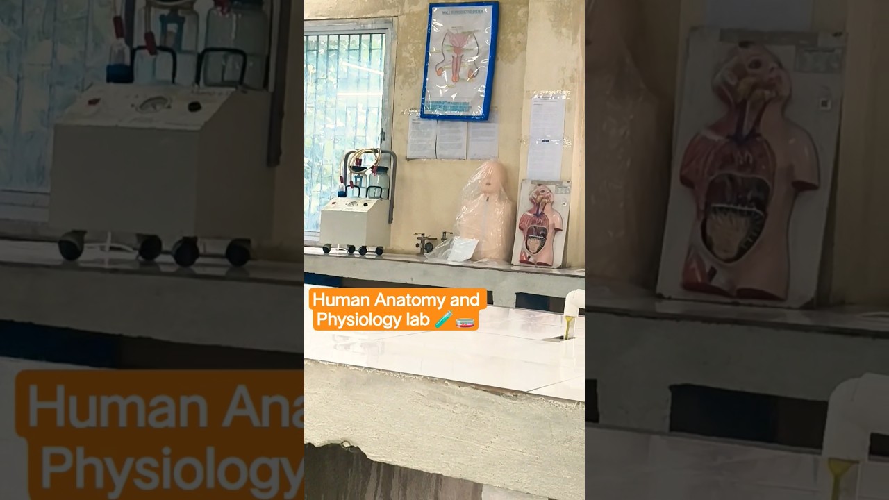 B Pharma HAP Lab | Human Anatomy & Physiology Practical | B Pharmacy 1st Year  #dpharma  #pharmcist