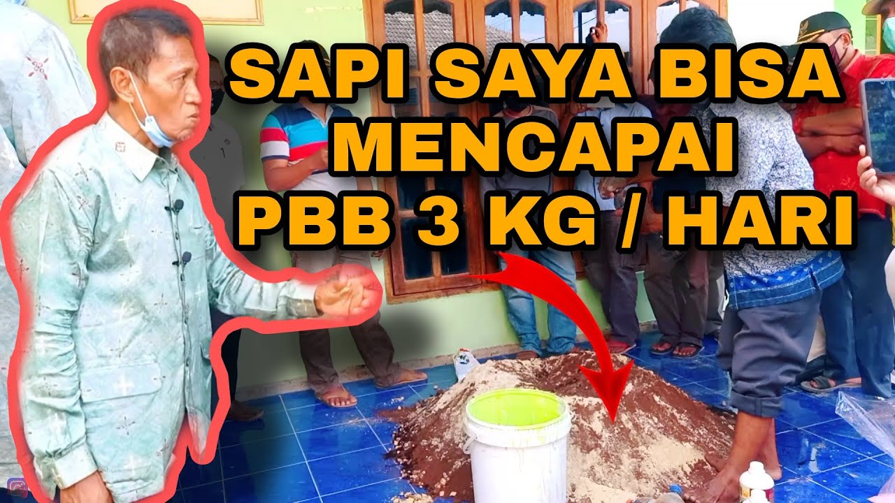 PEMBUATAN KONSENTRAT UNTUK SAPI, KAMBING, DOMBA YANG MUDAH