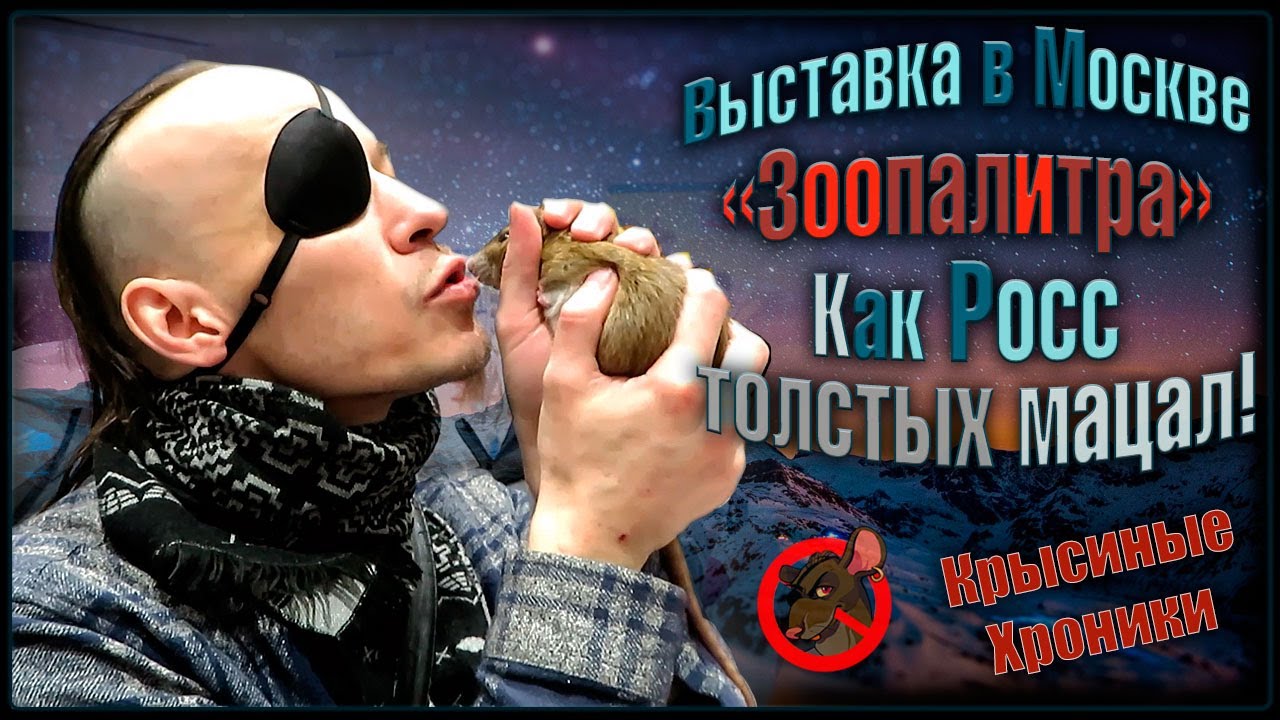 Выставка зверей 