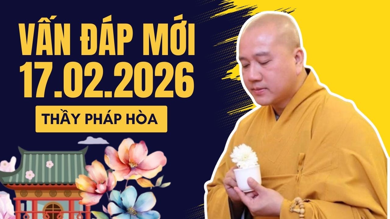 Vấn Đáp Phật Pháp Nghe Là Thấy Bình An 17.02.2026 | Thầy Thích Pháp Hoà Giảng