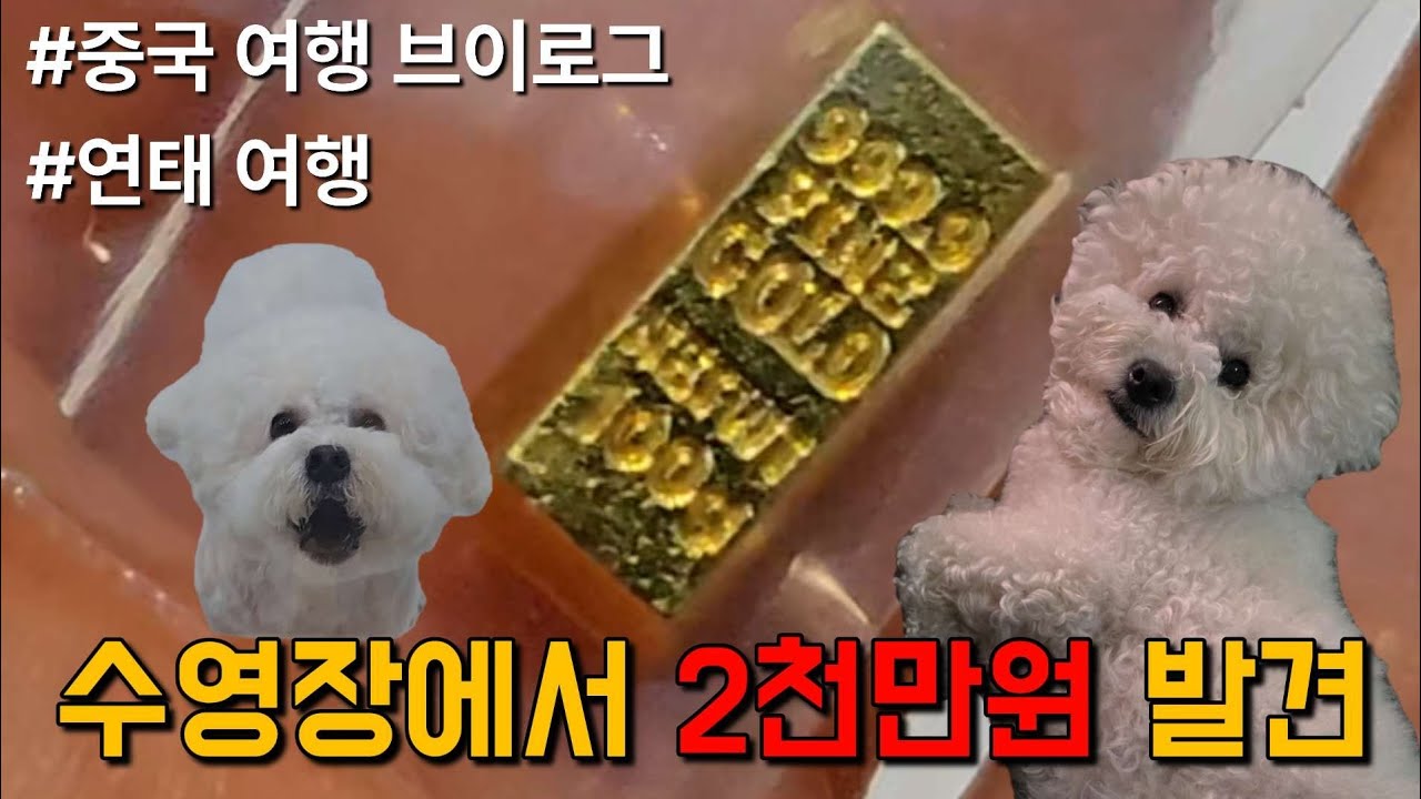 연태 수영장에서 순금바 발견… 결말 실화?