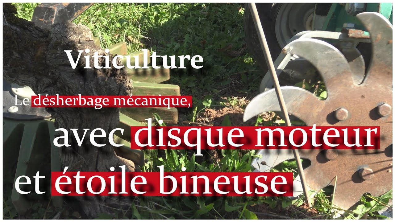 [DÉMONSTRATION] VITICULTURE : DÉSHERBER AU DISQUE MOTEUR ET À L'ÉTOILE BINEUSE