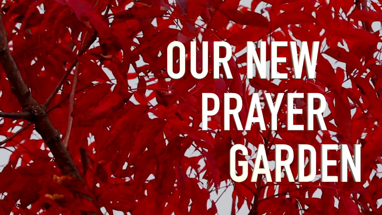 Our New Prayer Garden