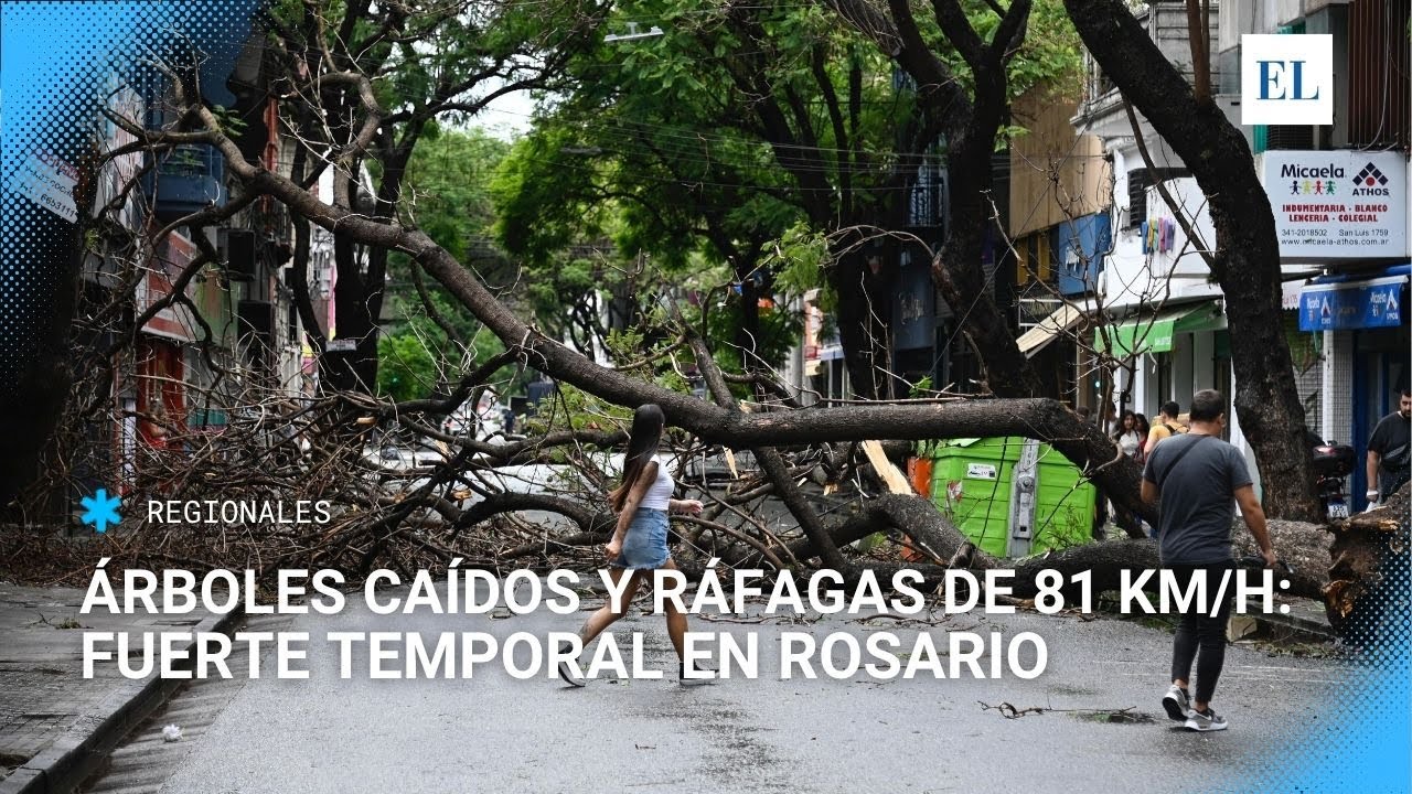 Rosario bajo ráfagas: árboles caídos, ráfagas de 81 km/h y alerta por vientos fuertes