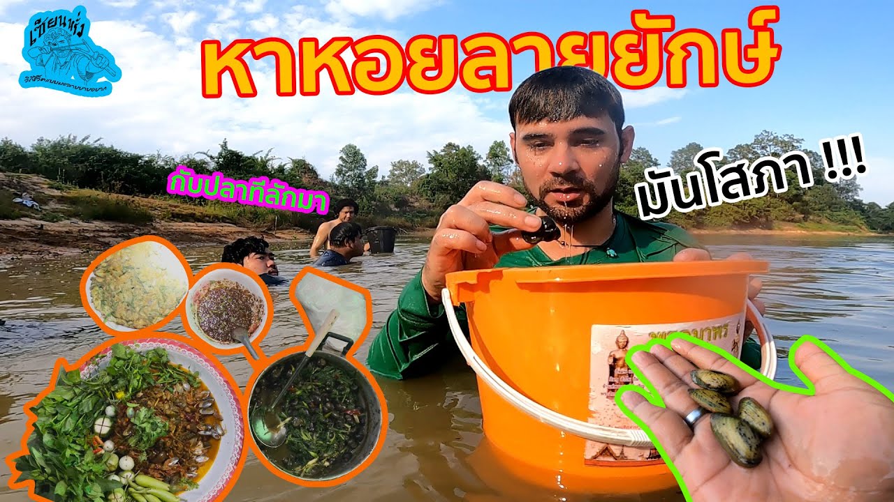 เซียนหรั่ง - วิถีชีวิตแบบมะลายยายอยาก l ตอน หาหอยลายยักษ์