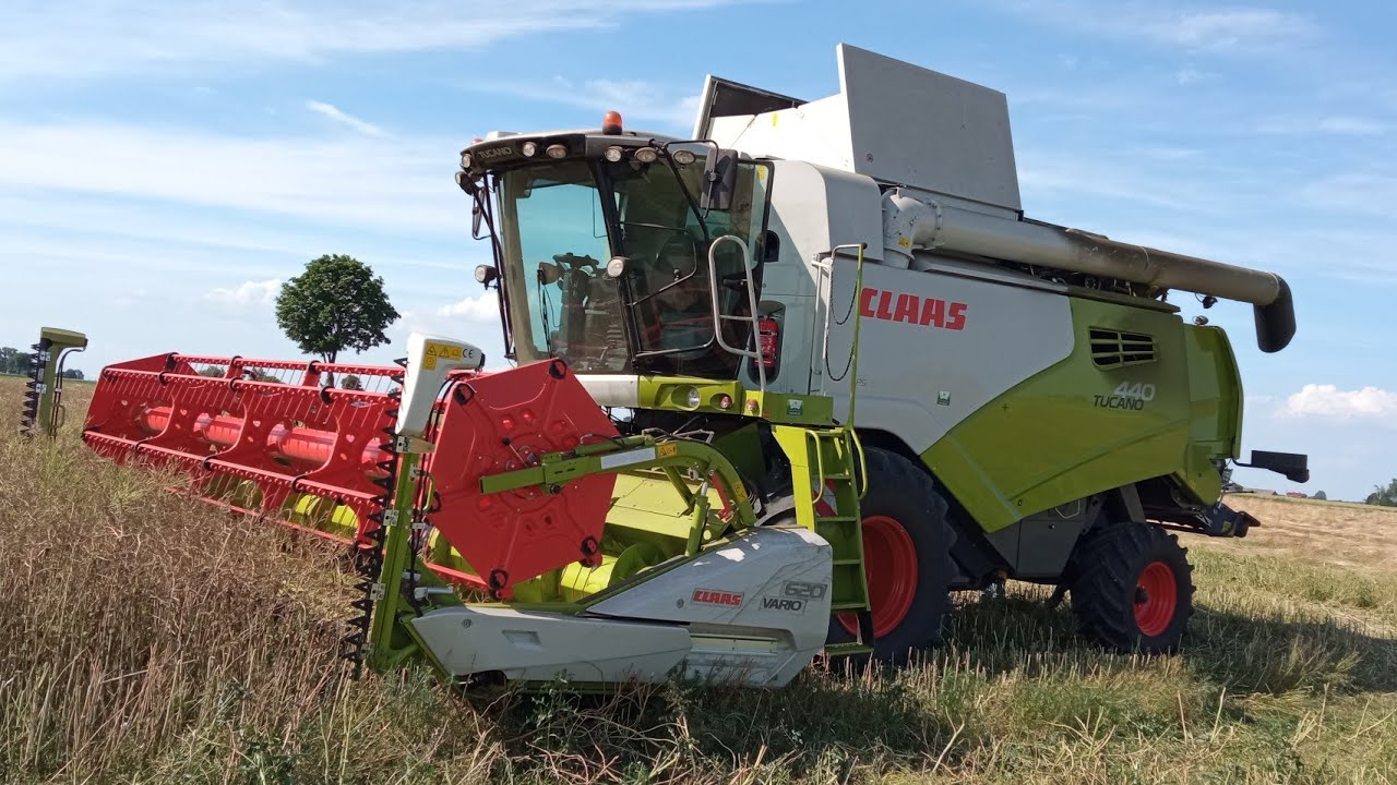 Pierwsze W Polsce Żniwa  Rzepikowe 2021 Usługi Kurlapski CLAAS TUCANO 440