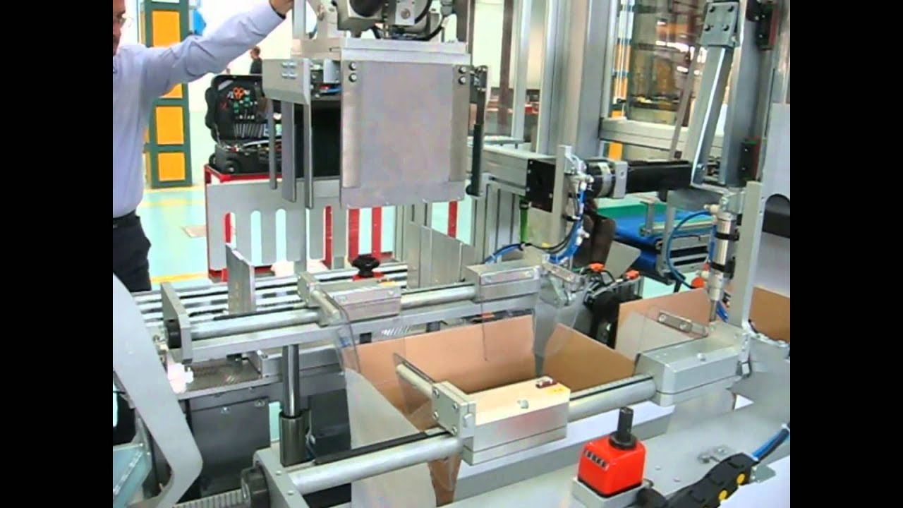 Vertical case packer con Robot D2 by Zucchini Packaging, Italy
