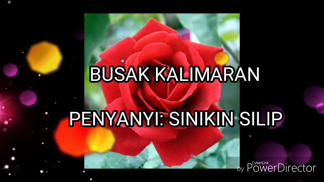 BUSAK KALIMARAN