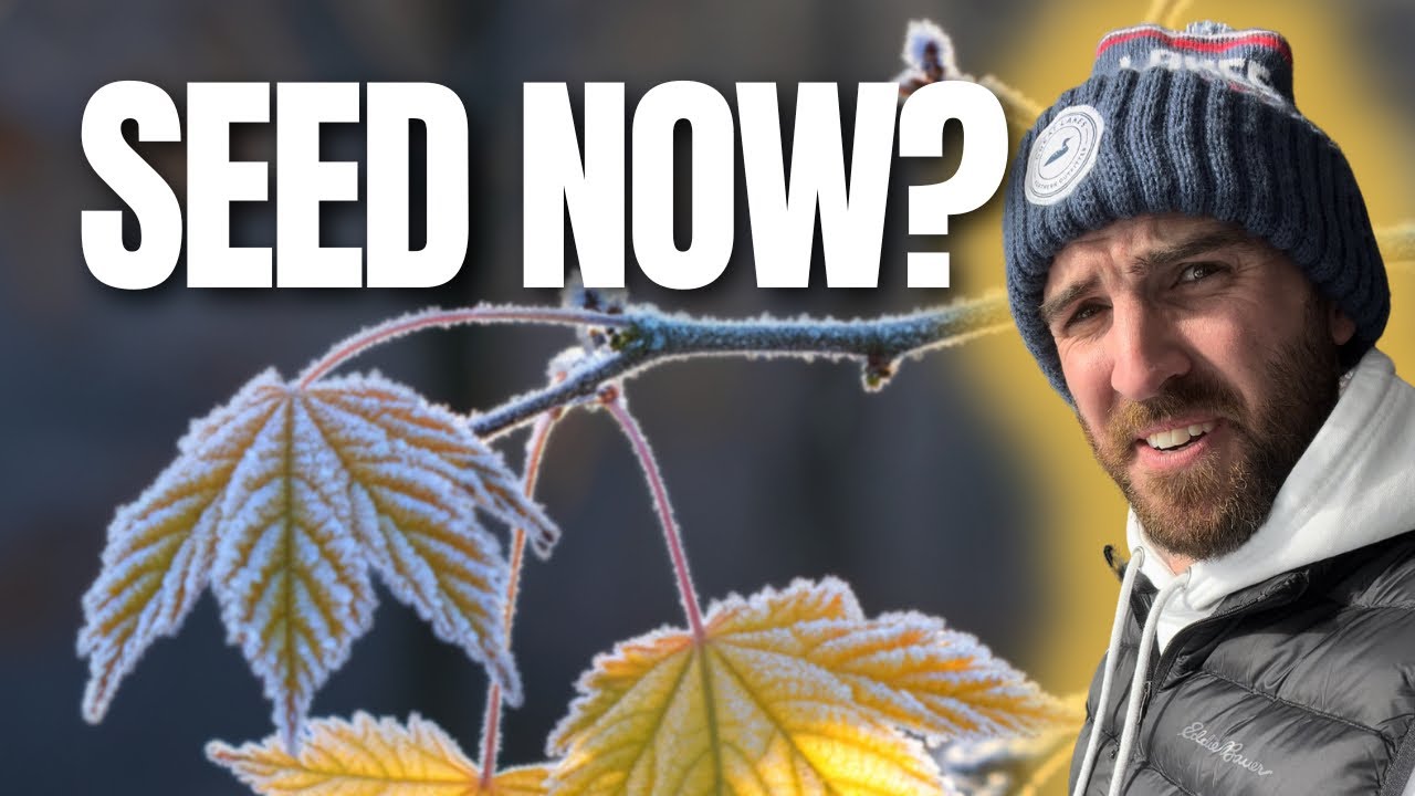 The SNEAKY Lawn Trick That Can Give YOU a HEAD START for Spring!