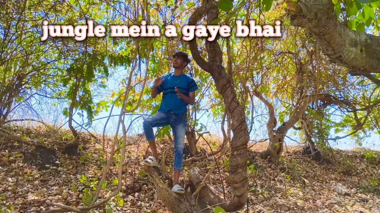 Jungle mein Mangal karne a gaye bhai