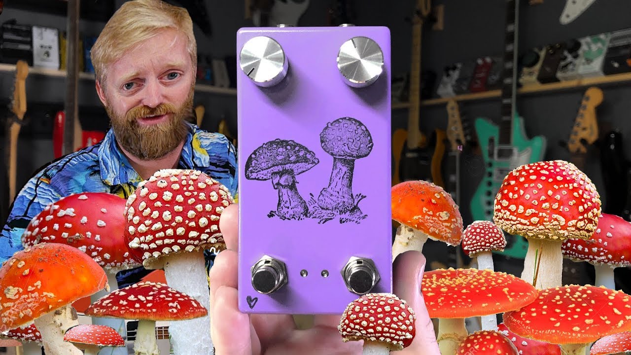 Farm Pedals - Fly Agaric - Smooth & trippy double LFO phaser