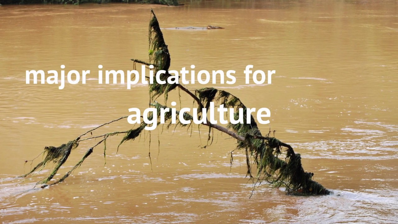 Climate Change in the Caribbean, the case for action