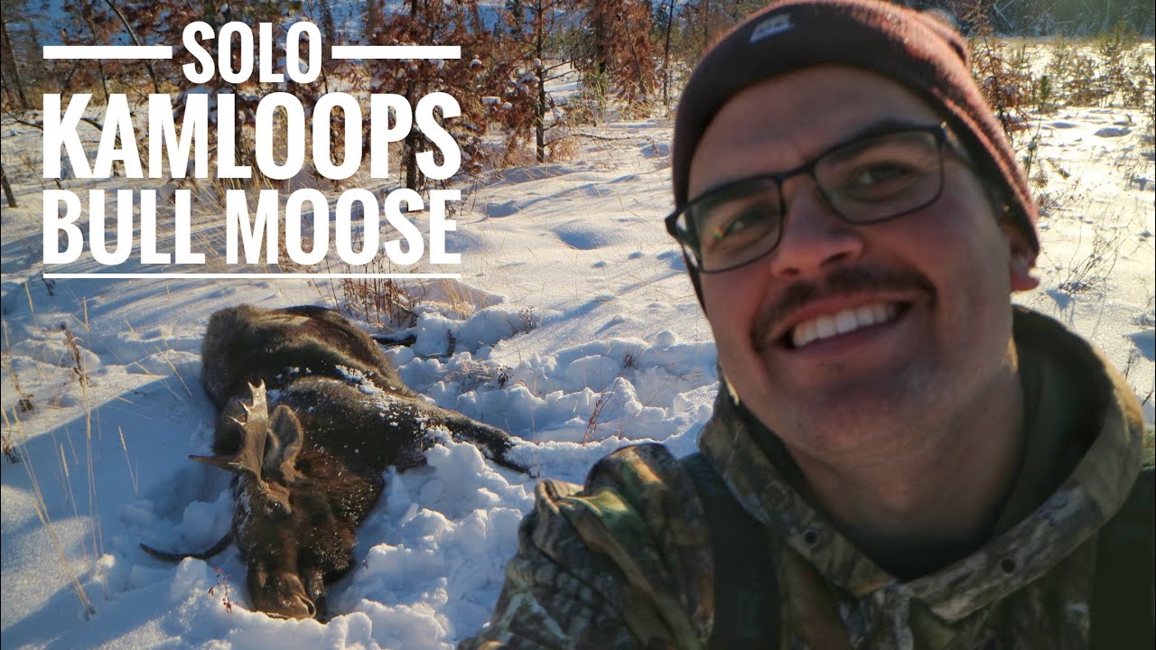 LOOPS | A British Columbia November LEH Bull Moose Hunt