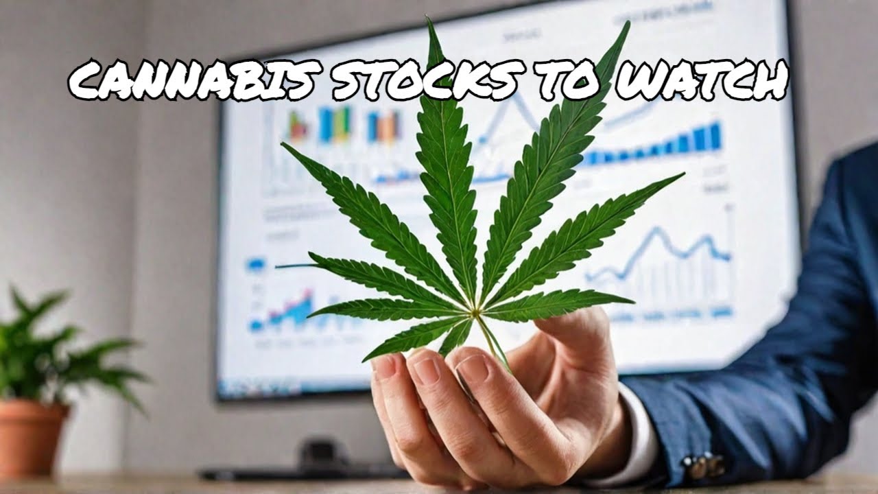 3 Cannabis Stocks to Watch in 2025