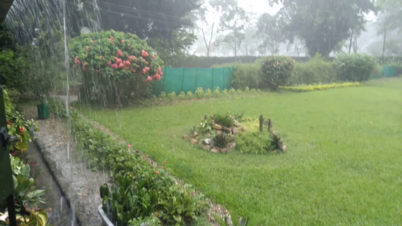 Assam Rain