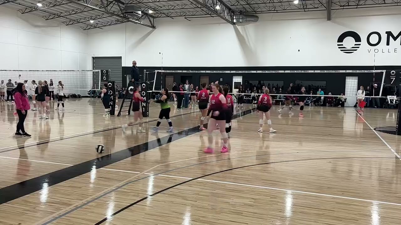 Synergy Force 16 Blue
