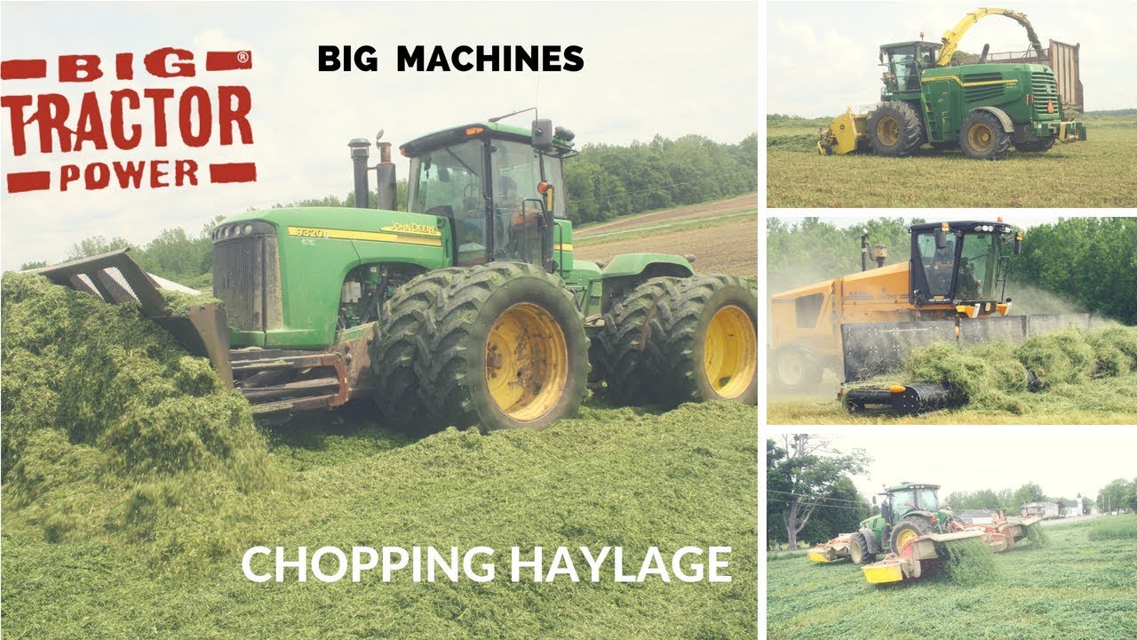 Big Farm Machines Making Haylage for Dairy Cows