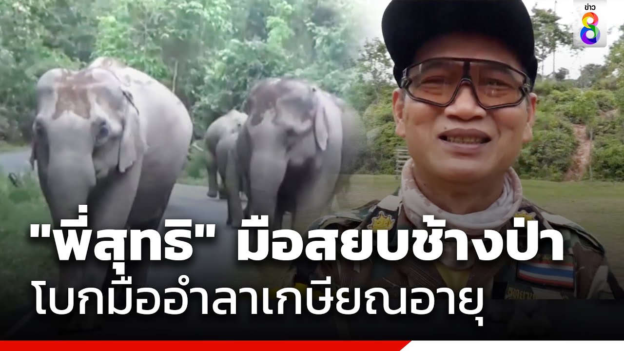 โบกมืออำลา 