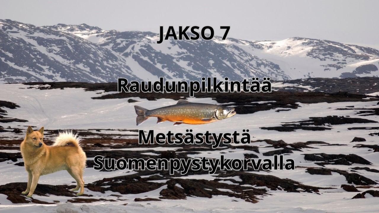 RAUDUNPILKINT&Auml;&Auml;, METS&Auml;STYST&Auml; PYSTYKORVALLA SEK&Auml; AVATAAN ODRA CAM PIIPPUKAMERA
