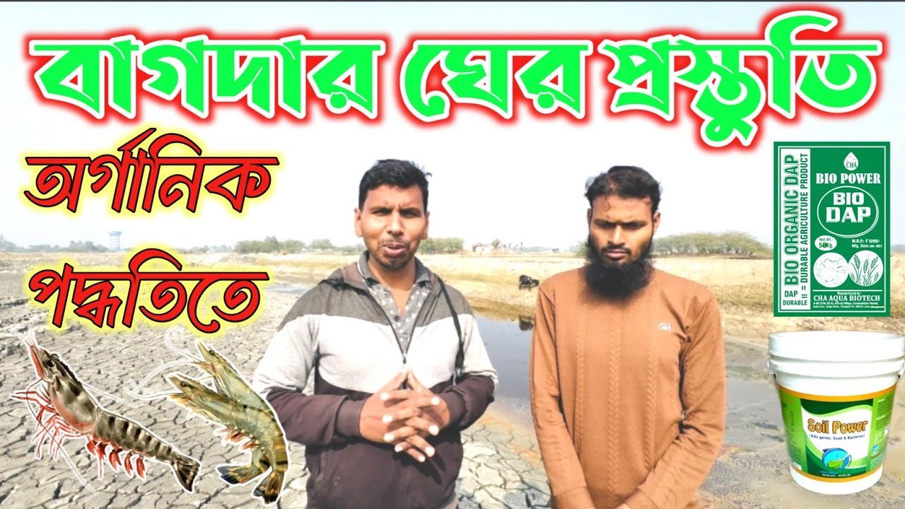 সফল বাগদা চিংড়ি চাষের প্রথম ধাপ | Pond Preparation Bangla
