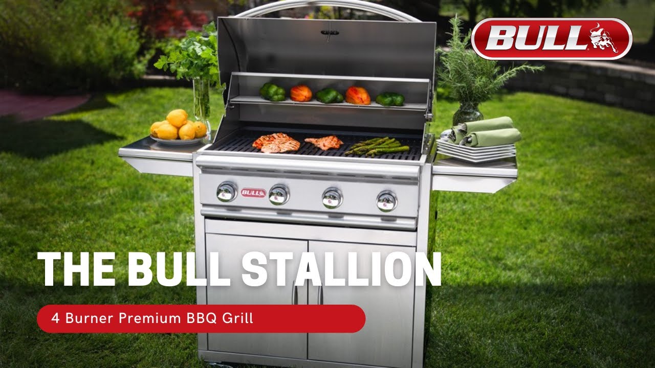 The Features of the Bull Stallion