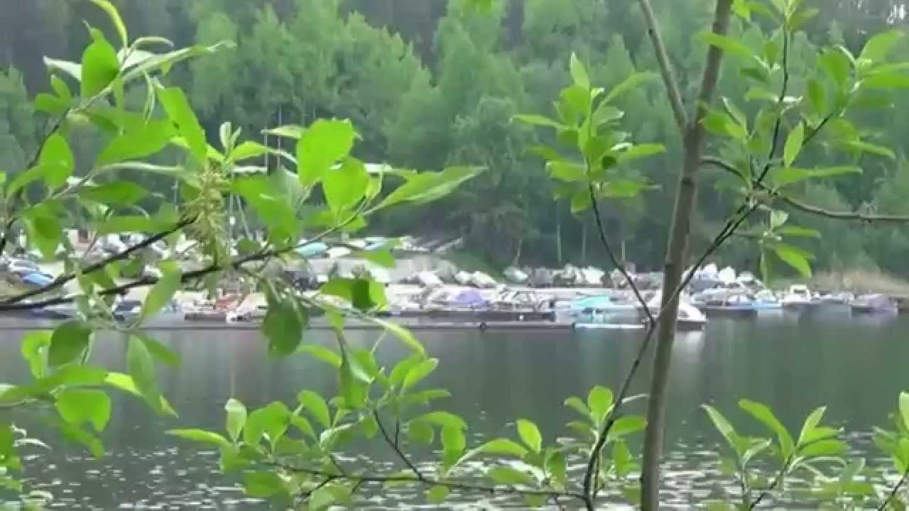 Кузнечное Ленинградская область