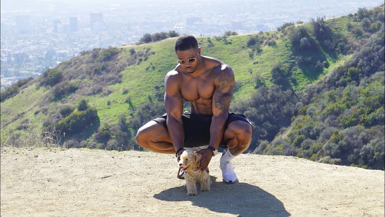 DOG DAY AFTERNOON - SIMEON PANDA & CHANEL COCO BROWN