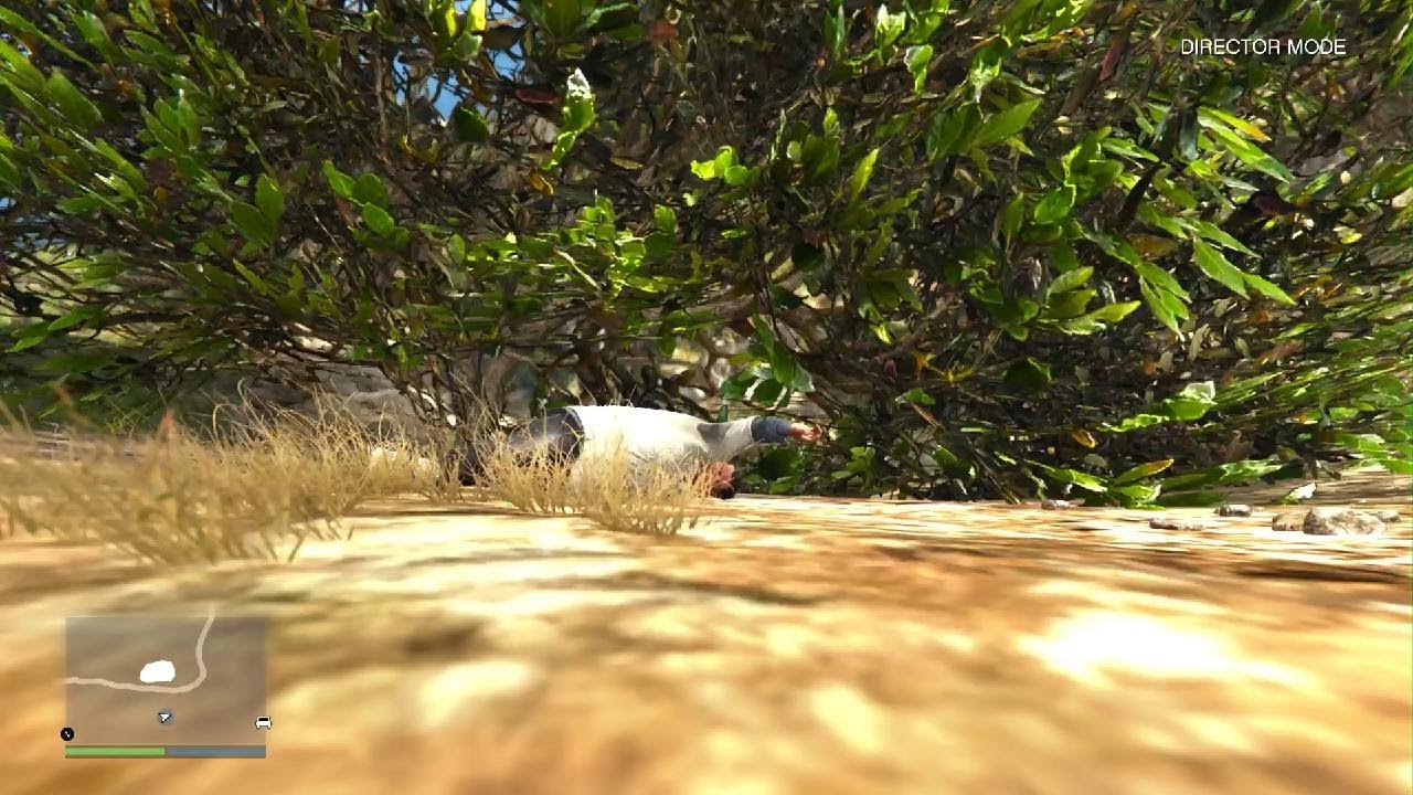GTA 5: Franklin Screaming