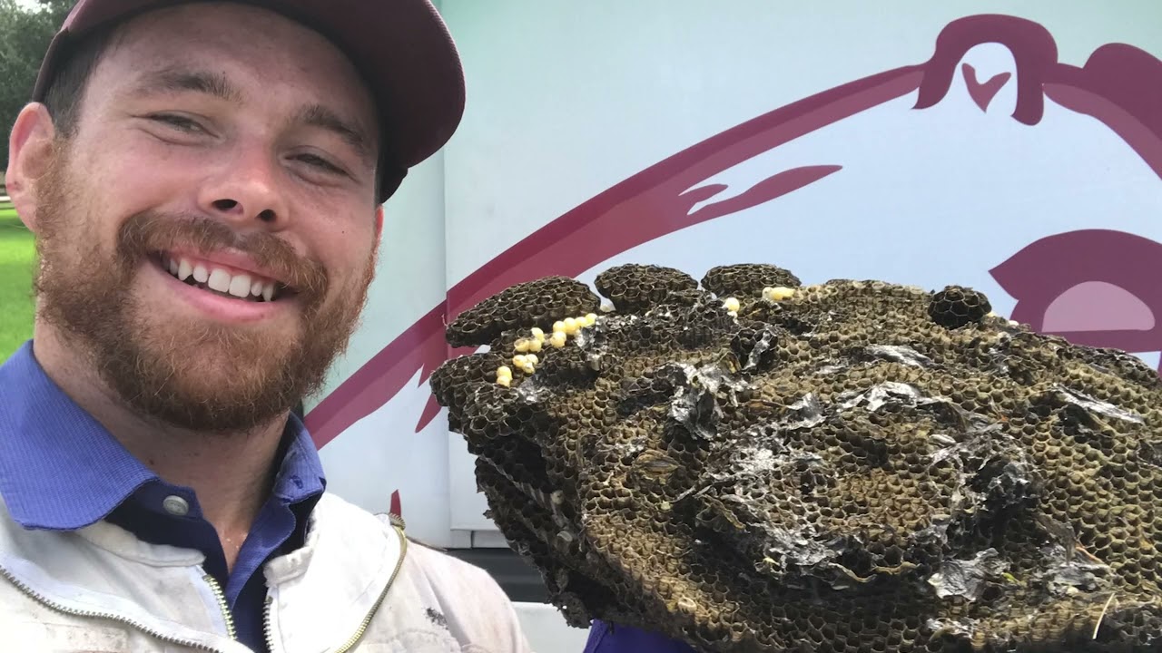 Pest control specialists: Real-life Superheroes?! | Day in the Life - Houston Pest & Rodent Control
