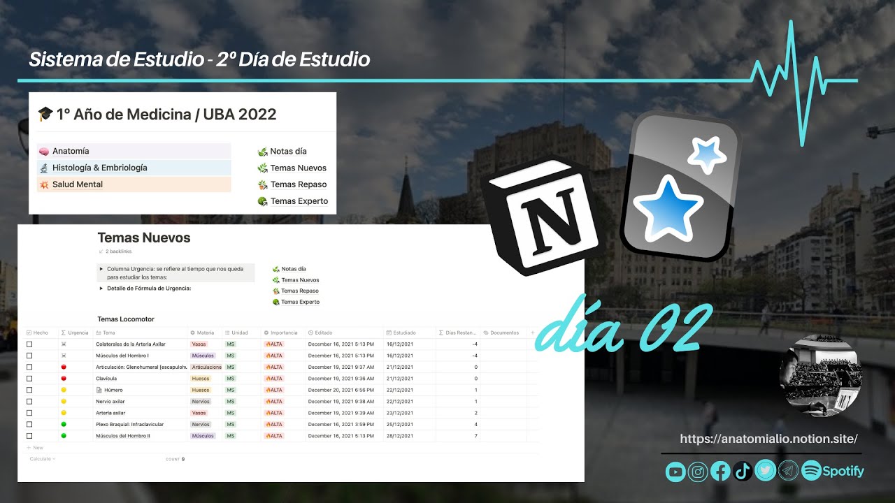 Notion en Medicina - Sistema de Estudio - D&iacute;a 2&ordm;
