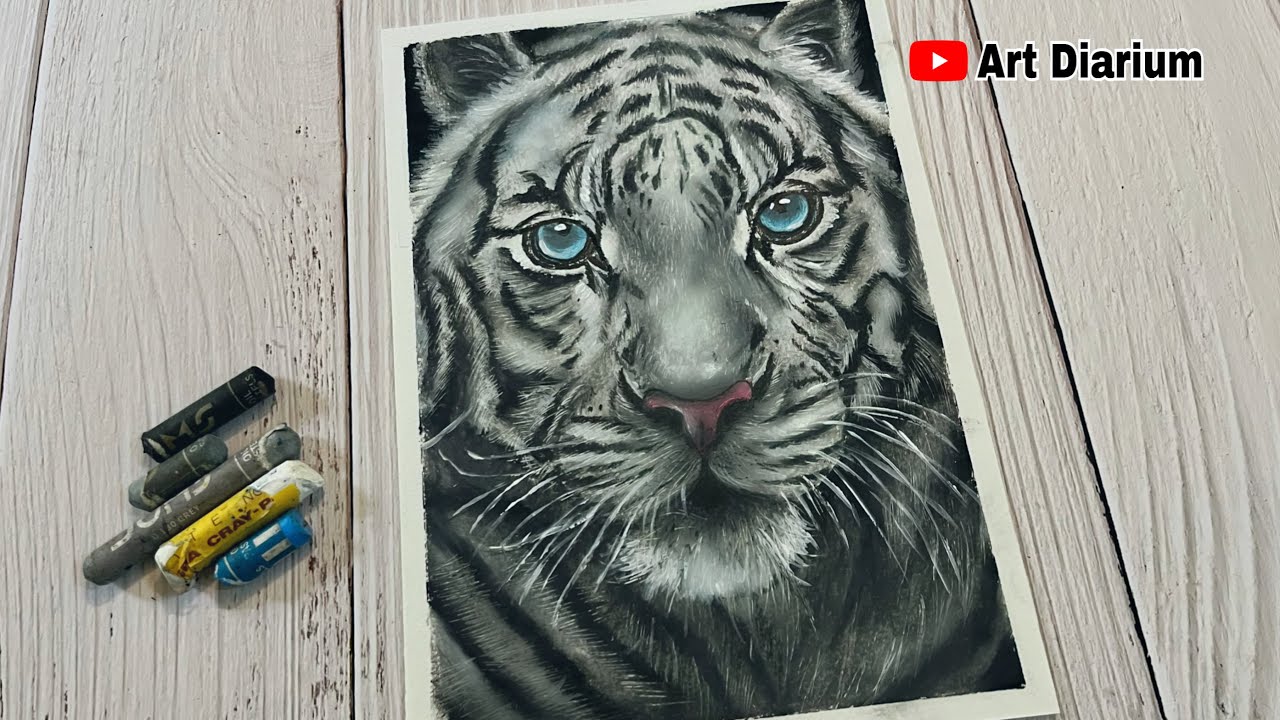 White Tiger Drawing / Step by Step tutorial- Oil Pastel Art