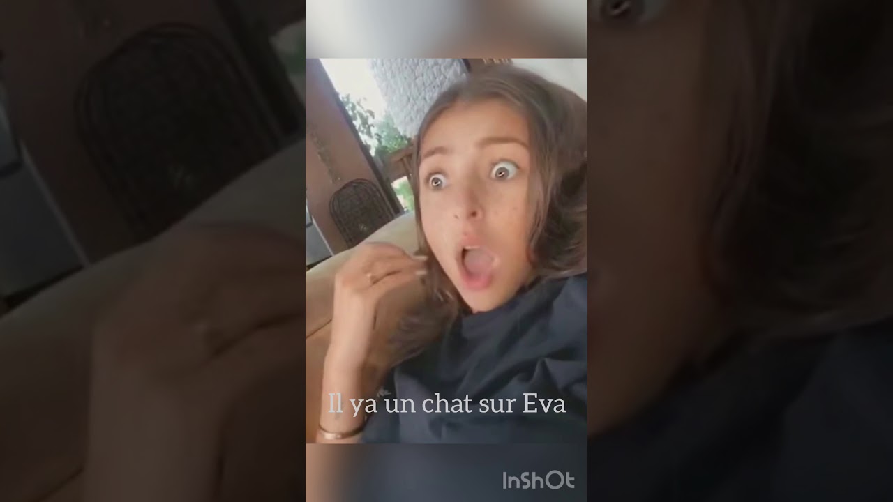 Il y a un chat sur Eva queen