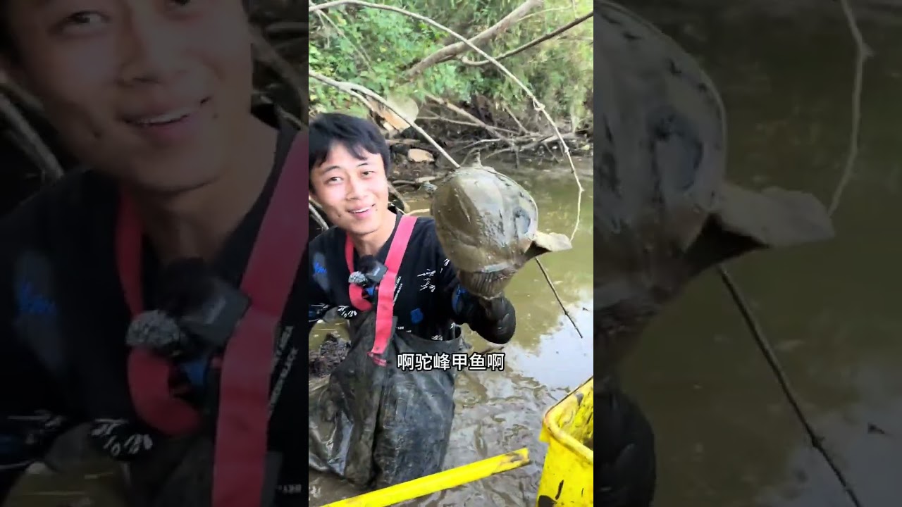 I spent 800 yuan to rent an old fish pond that has been around for two or three decade